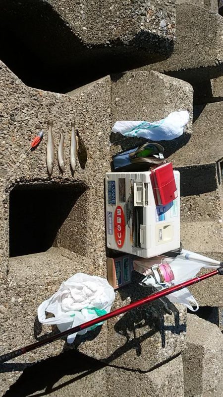 東二見人工島へ落ちギス調査３連投