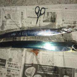 タッチーゲットー