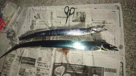 タッチーゲットー