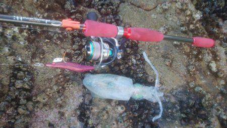 ロックフィッシュ＆エギング＆アジゴ釣り