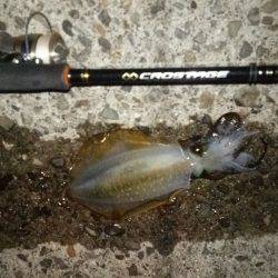 teamゲッソー調査隊