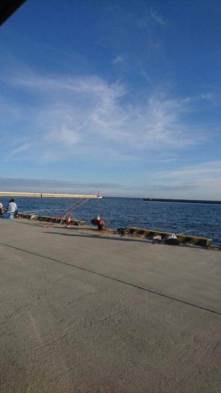 投げ釣り、キス釣り