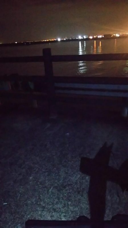 ちっちゃいの多数?