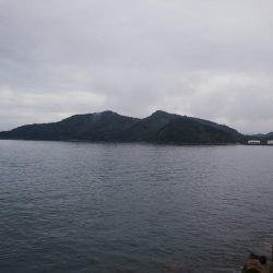 teamゲッソー調査隊