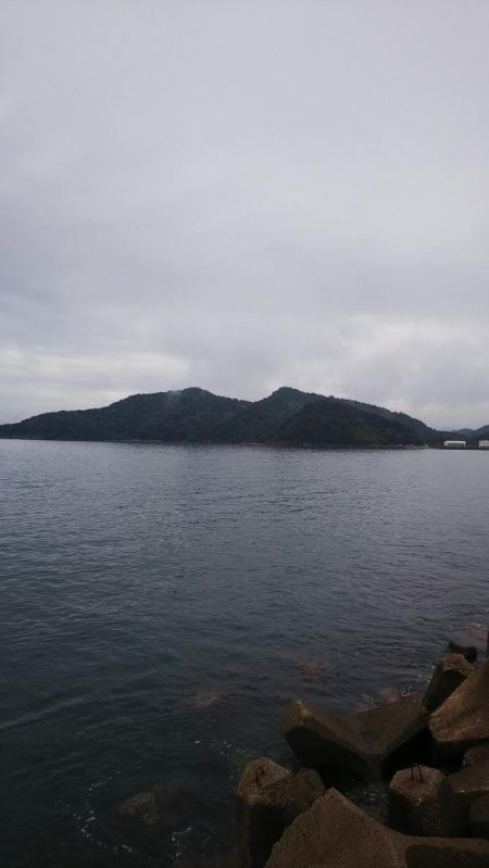 teamゲッソー調査隊