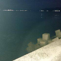 ライトショアジギング