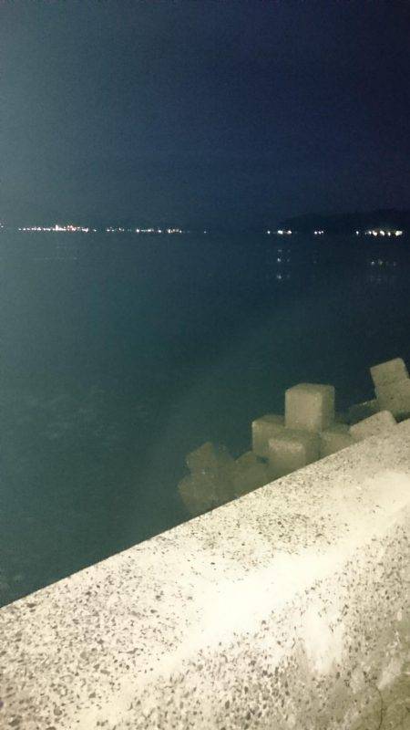 ライトショアジギング