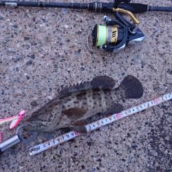 西表島 強風止まず、１週間ぶりに出掛けました。