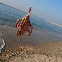 暑い！渋い‼でもキレイ❗