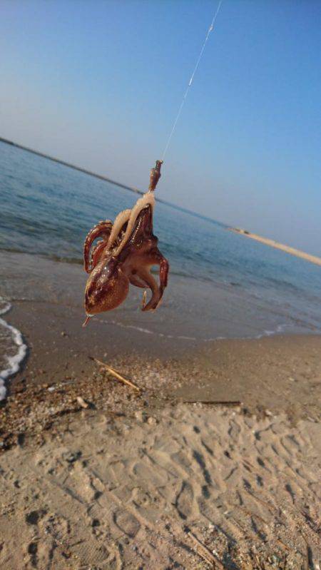 暑い！渋い‼でもキレイ❗