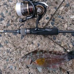 ライトソルト　エソ