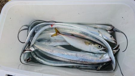 刀狩り、、からの？