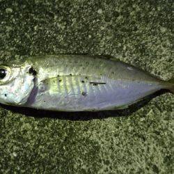 ウルトラライトゲーム