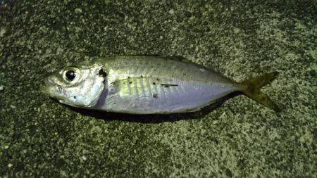 ウルトラライトゲーム