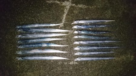 ケーソンタチウオ