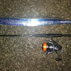 タチウオちょい渋