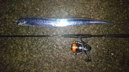 タチウオちょい渋