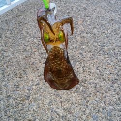 エギングは難しい・・・