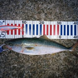 トップでツバス2連発するも・・・