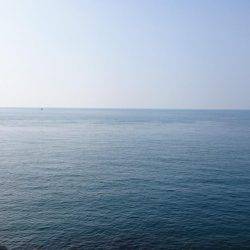 チビっ子、カンパチ!