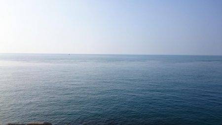 チビっ子、カンパチ!