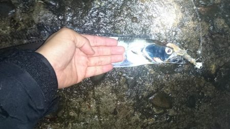 辰巳北波止にて