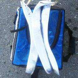 太刀魚ワインド