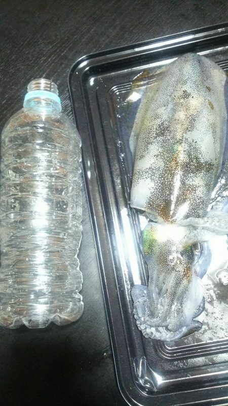 良型出ました。