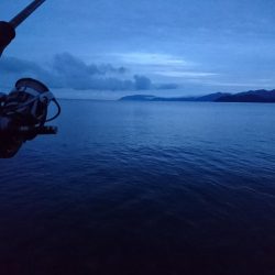 雨で気温は低いですが