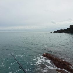 小さくても青物