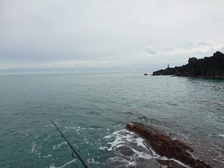 小さくても青物