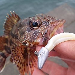 濁りか水温か腕か