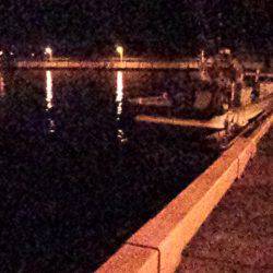 アオリイカの沖漬け