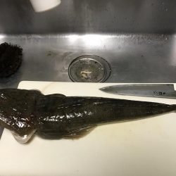 時間つぶしでまさかの!?