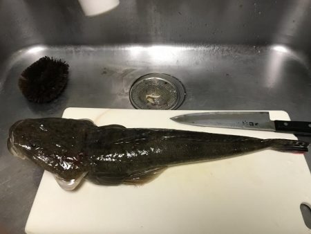 時間つぶしでまさかの!?