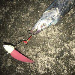 制限時間は30分お手軽ワインド！