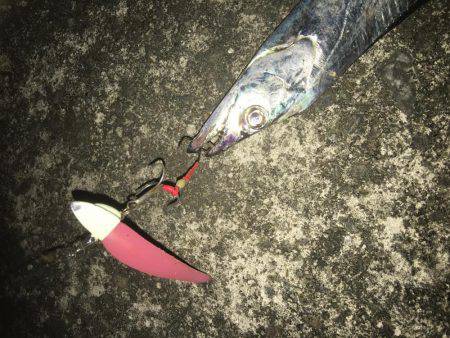 制限時間は30分お手軽ワインド！