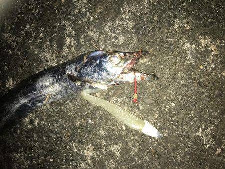 やっぱりルミノーバ!!