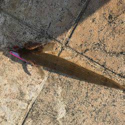 久しぶりのあたりに笑顔笑^ ^