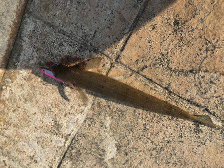 久しぶりのあたりに笑顔笑^ ^