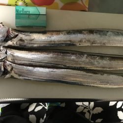 朝まずめ淡路島