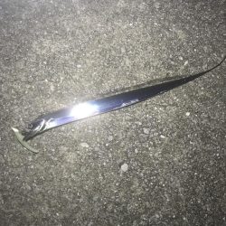 太刀魚釣れてます