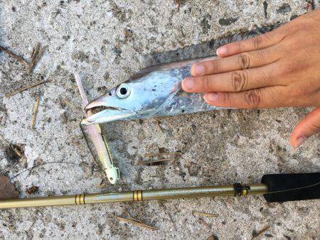 好調の武庫一！