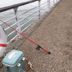 大阪舞洲（まいしま）でカニでヘチ釣り　食いが渋かった！