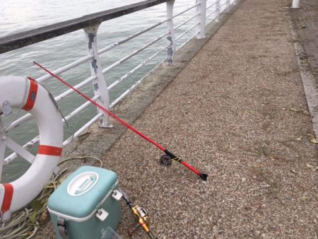 大阪舞洲（まいしま）でカニでヘチ釣り　食いが渋かった！