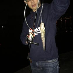 毎度、外道に癒やされる