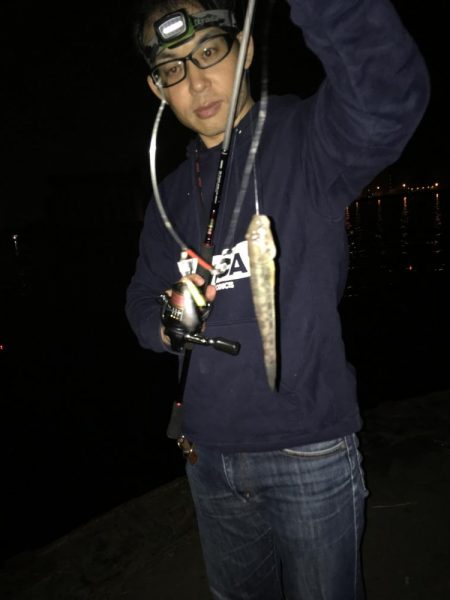 毎度、外道に癒やされる