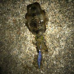 寒気、北風、寒い!