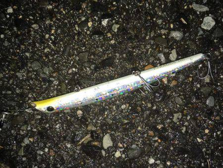 逃した魚は、、