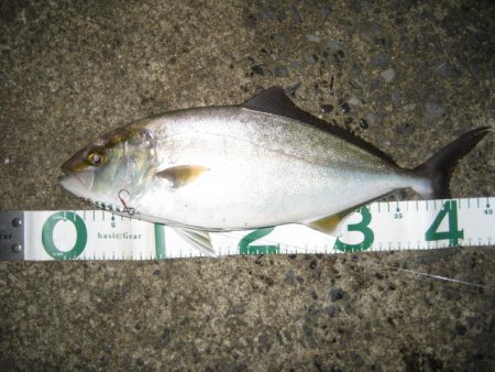 ひったくり青物!